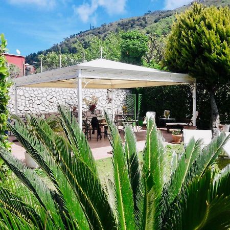 Villa Alessandro - Anacapri Εξωτερικό φωτογραφία