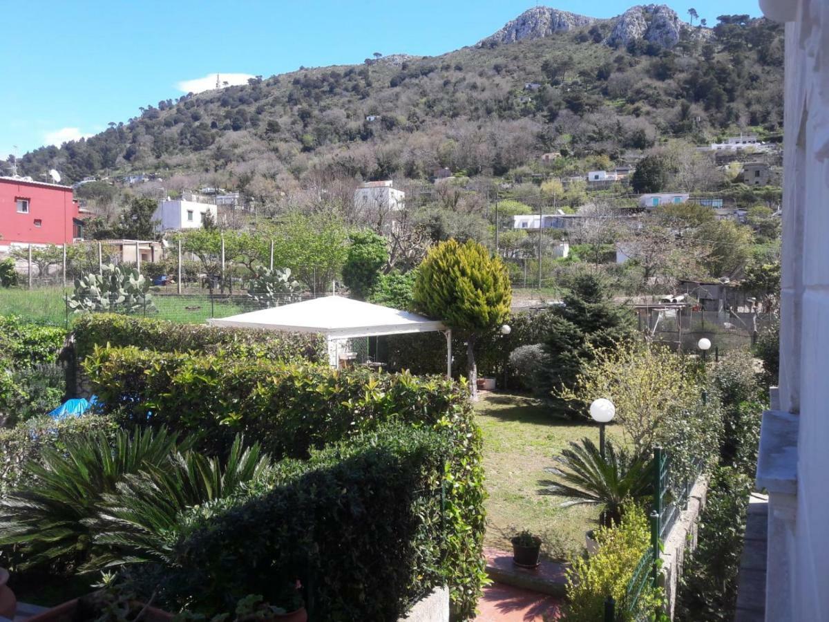 Villa Alessandro - Anacapri Εξωτερικό φωτογραφία