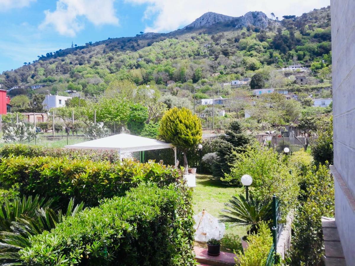 Villa Alessandro - Anacapri Εξωτερικό φωτογραφία